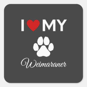 Adesivo Quadrado Eu adoro o meu texto personalizado do cão Weimaran