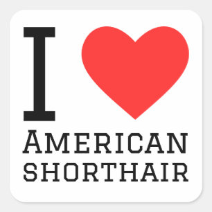 Adesivo Quadrado Eu adoro o short americano