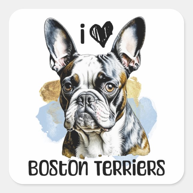 Adesivo Quadrado Eu Amo Boston Terriers (Frente)