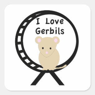Adesivo Quadrado Eu amo Gerbils