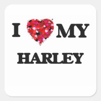 Eu amo meu Harley