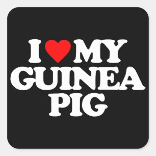 ADESIVO QUADRADO EU AMO MEU PIG GUINÉ