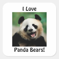 Eu Amo Ursos de Panda