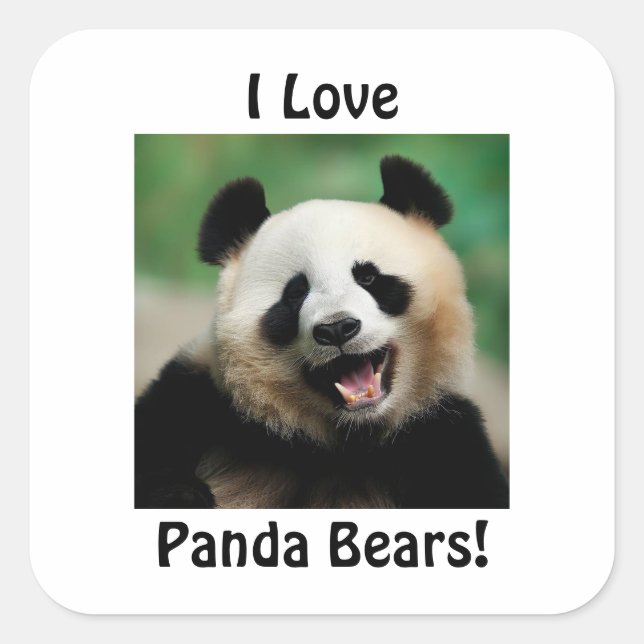 Adesivo Quadrado Eu Amo Ursos Panda (Frente)