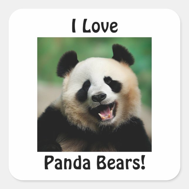 Adesivo Quadrado Eu Amo Ursos Panda (Frente)