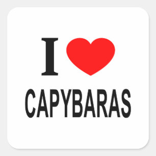 Adesivo Quadrado Eu ❤️ CAPIVARAS Eu AMO CAPIVARAS Eu ADORO CAPIVARA