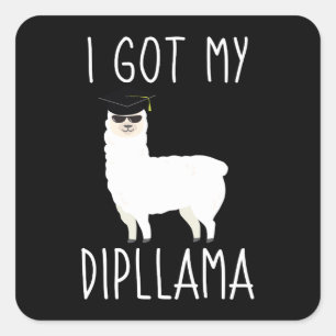Adesivo Quadrado Eu Consegui Meu Dipllama Piada Engraçada de Gradua