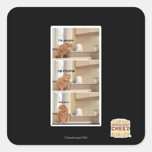 Adesivo Quadrado Eu estou fazendo cocô! (Frente)