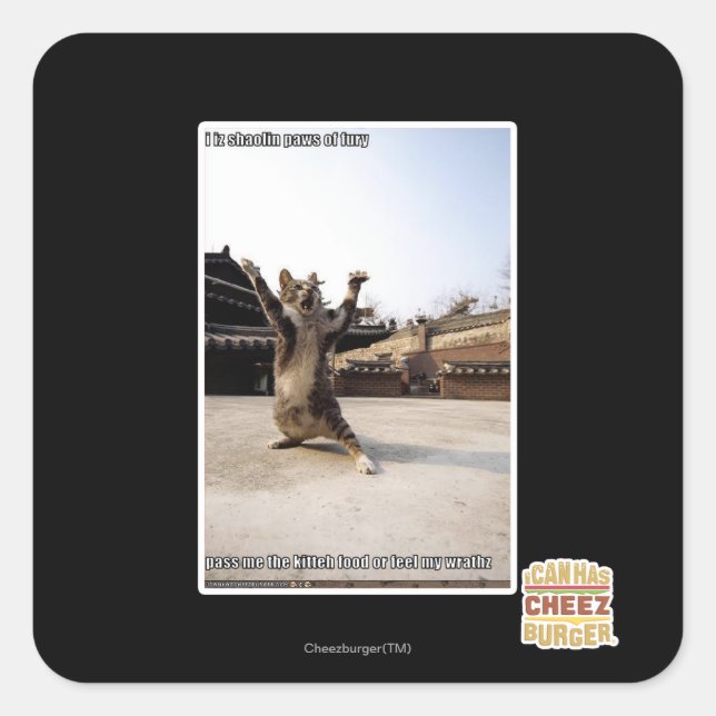 Adesivo Quadrado Eu faço palhaços de fúria (Frente)