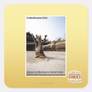 Adesivo Quadrado Eu faço palhaços de fúria