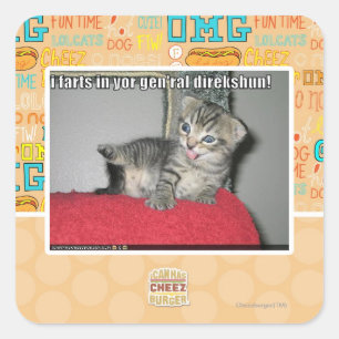 Adesivo Quadrado Eu farts no direkshun gen'ral do yor