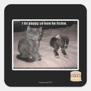 Adesivo Quadrado Eu fixo o filhote de cachorro