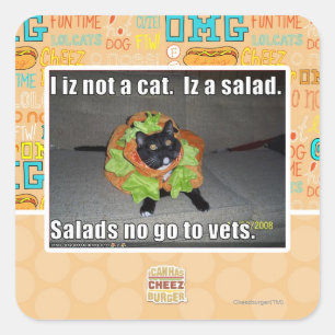 Adesivo Quadrado Eu não sou um gato. É uma salada.