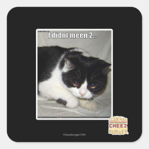 Adesivo Quadrado Eu não vi 2