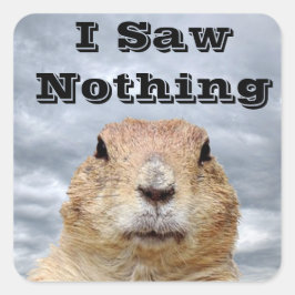 Adesivo Quadrado Eu não vi nada no dia do Groundhog