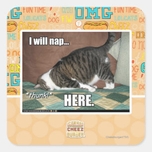 Adesivo Quadrado Eu nap aqui