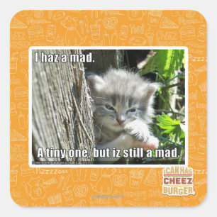 Adesivo Quadrado Eu tenho um louco