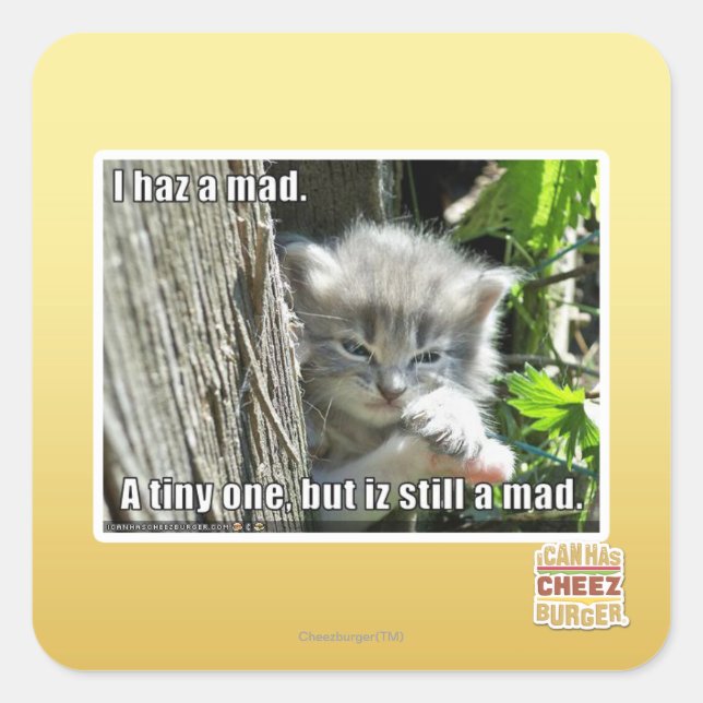 Adesivo Quadrado Eu tenho um louco (Frente)