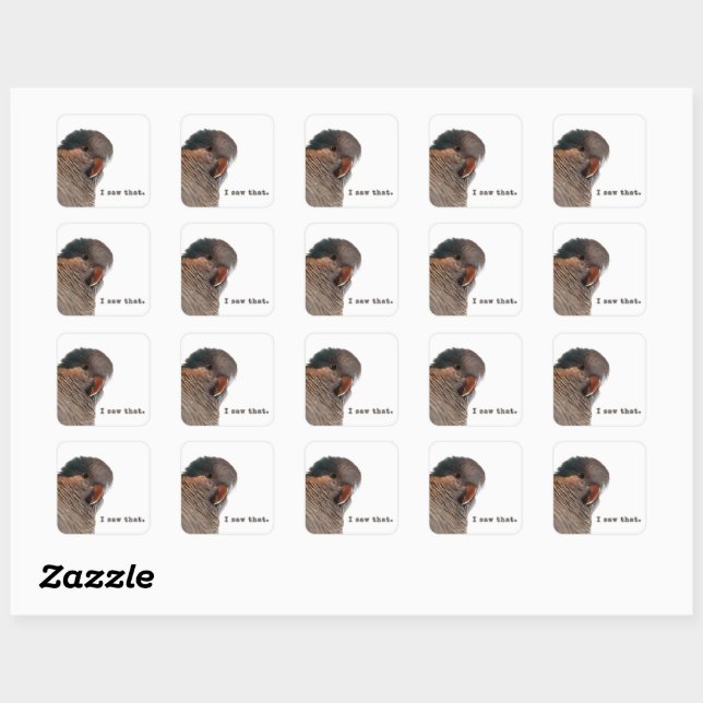 Adesivo Quadrado Eu vi isso. Vinheta de papagaio (Folha)