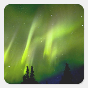 Adesivo Quadrado EUA, Alasca, Chena Hot Springs. Aurora 3