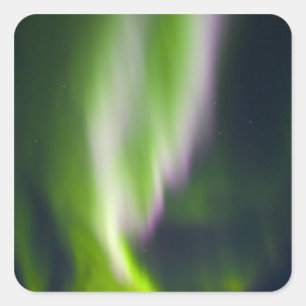 Adesivo Quadrado EUA, Alasca, Chena Hot Springs. Aurora Boreal