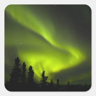 Adesivo Quadrado EUA, Alasca, Chena Hot Springs. Aurora Boreal 2