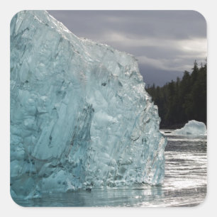 Adesivo Quadrado EUA, Alaska, Floresta Nacional Tongass, Tracy 2