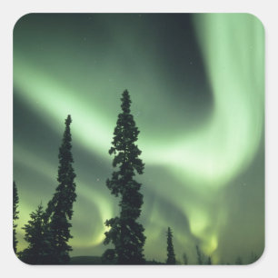 Adesivo Quadrado EUA, área de Fairbanks, Alaska Central, Aurora 2
