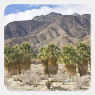 Adesivo Quadrado EUA, Califórnia, Anza-Borrego Desert State Park.