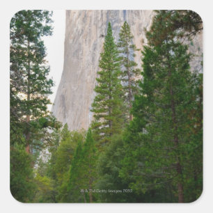 Adesivo Quadrado EUA, Califórnia, parque nacional de Yosemite, EL