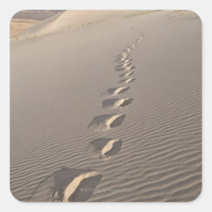 Adesivo Quadrado EUA, Califórnia, Pegadas de Duna do Deserto