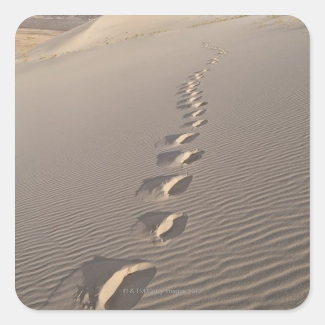 Adesivo Quadrado EUA, Califórnia, Pegadas de Duna do Deserto (Frente)