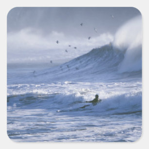 Adesivo Quadrado EUA, Estado de Washington, La Push. Cayak