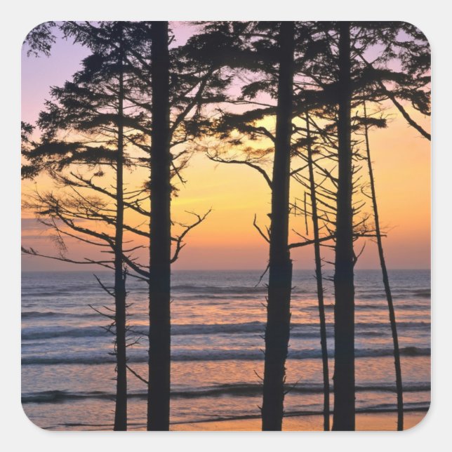 Adesivo Quadrado EUA, Estado de Washington, Olimpiadas NP. Delicado (Frente)