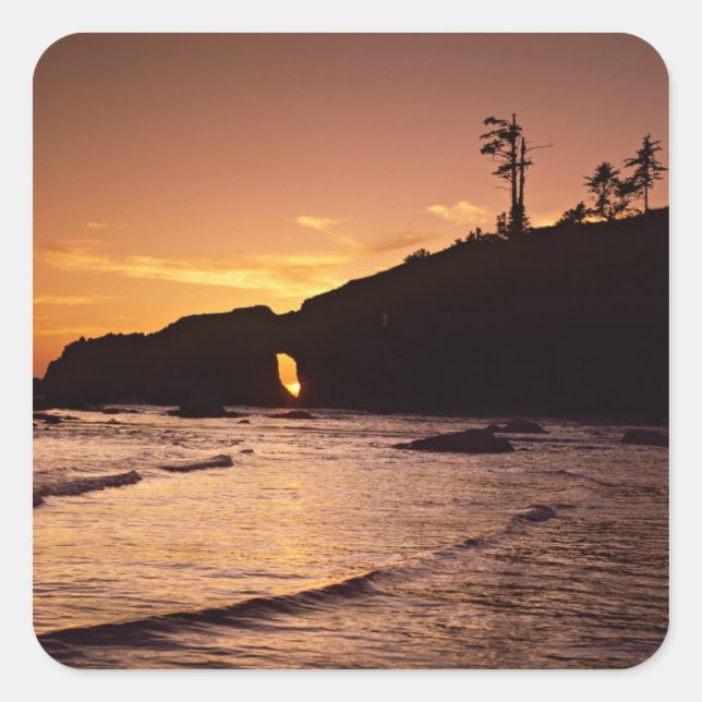 Adesivo Quadrado EUA, Estado de Washington, Parque Nacional Olimpia (Frente)