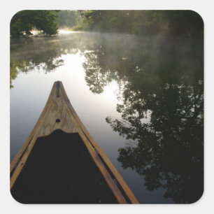Adesivo Quadrado EUA, Florida, Ocala National Forest, Alexander