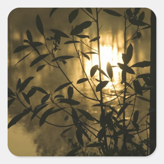 Adesivo Quadrado EUA, Geórgia, Jardins Callaway, Sunrise (Frente)