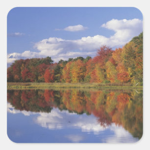 Adesivo Quadrado EUA, Massachusetts, Acton. Reflexo do outono
