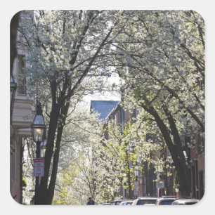 Adesivo Quadrado EUA, Massachusetts, Boston, Beacon Hill.