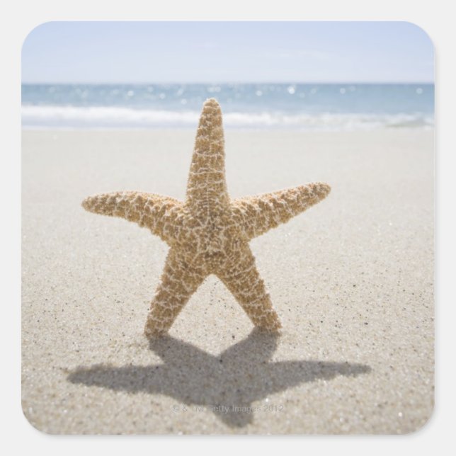 Adesivo Quadrado EUA, Massachusetts, Cape Cod, Nantucket, fecha (Frente)