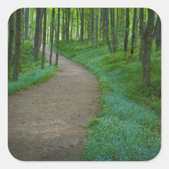 Adesivo Quadrado EUA, Michigan. Caminho das Caixas do Miner (Frente)