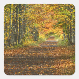 Adesivo Quadrado EUA, Michigan, Península Superior. Estrada para de