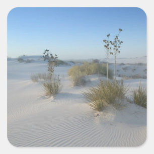 Adesivo Quadrado EUA, Novo México, White Sands National 2
