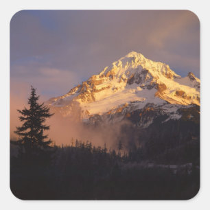 Adesivo Quadrado EUA, Oregon, Floresta Nacional de Mt. Hood. Roland