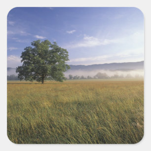 Adesivo Quadrado EUA, Tennessee. Grandes Montanhas Smokey