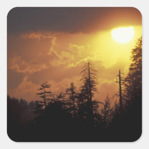 Adesivo Quadrado EUA, Tennessee, Montanhas Enfumaçados Excelentes 