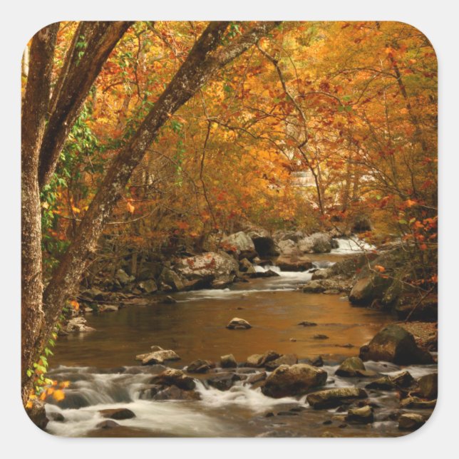 Adesivo Quadrado EUA, Tennessee. Rushing Mountain Creek 3 (Frente)