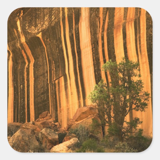 Adesivo Quadrado EUA, Utah, Capitol Reef National Park (Frente)