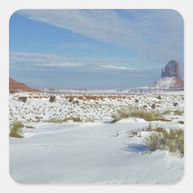 Adesivo Quadrado EUA, Utah, Monument Valley. Artemísia mostra (Frente)
