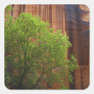 Adesivo Quadrado EUA, Utah, Paria Canyon - Cliffs Vermilion